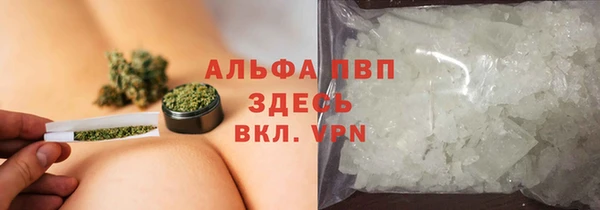 ПСИЛОЦИБИНОВЫЕ ГРИБЫ Михайловск