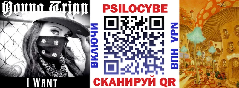 Галлюциногенные грибы мицелий наркошоп Новоузенск